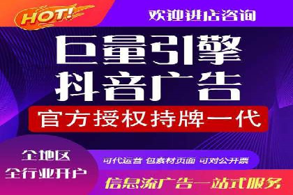 竞价端口开户后的广告投放策略案例